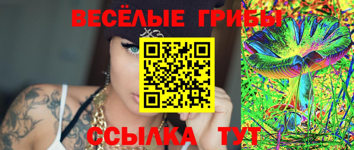 Галлюциногенные грибы Magic Shrooms  Вход с VPN  Кизилюрт 